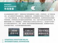 杏彩体育官网入口-关于从“基建狂魔”到“电竞先锋”，中国力量全方位助力沙特“2030愿景”的信息
