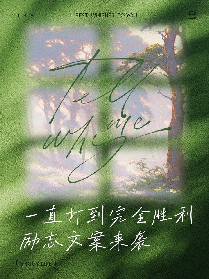 包含精彩纷呈！选手胜利背后的励志故事的词条