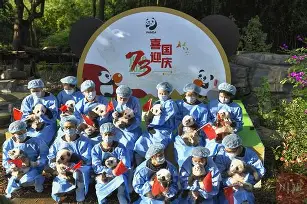 今日刀塔战报：烈日裁决血洗全场，成为当日焦点的简单介绍