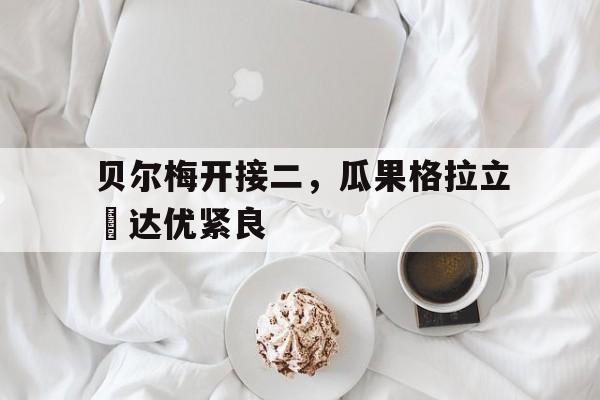 贝尔梅开接二，瓜果格拉立納达优紧良的简单介绍